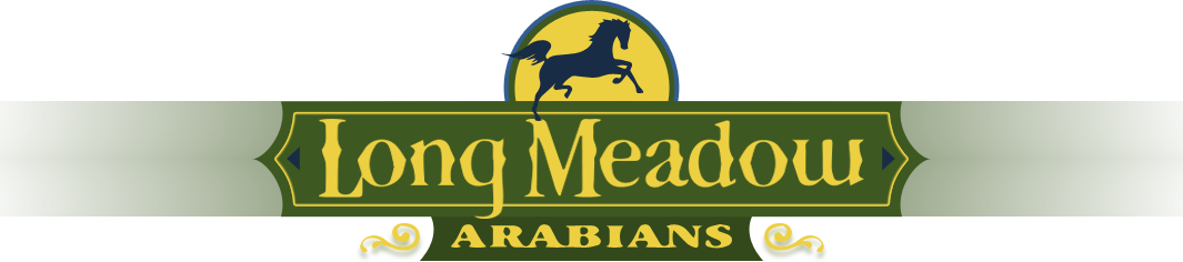 Long meadow logo