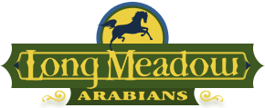 Long meadow mobile logo